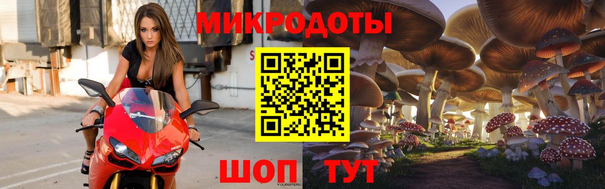 Кондопога  Галлюциногенные грибы Psilocybine cubensis  Вход с VPN 